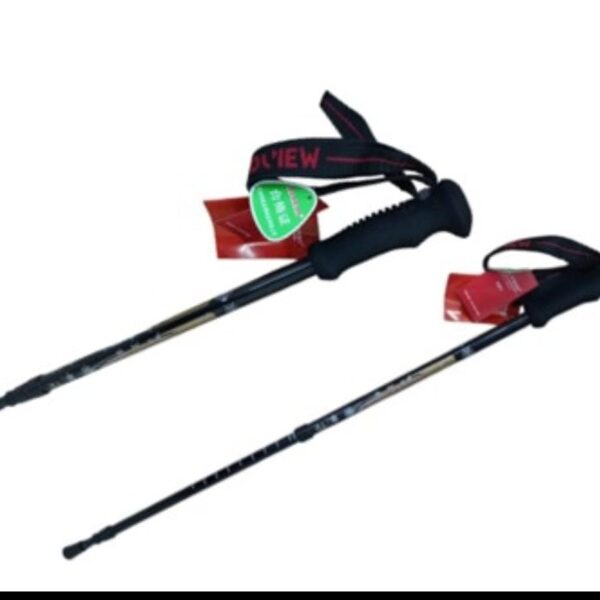 Bastones BASIC HIKING (1 ud)